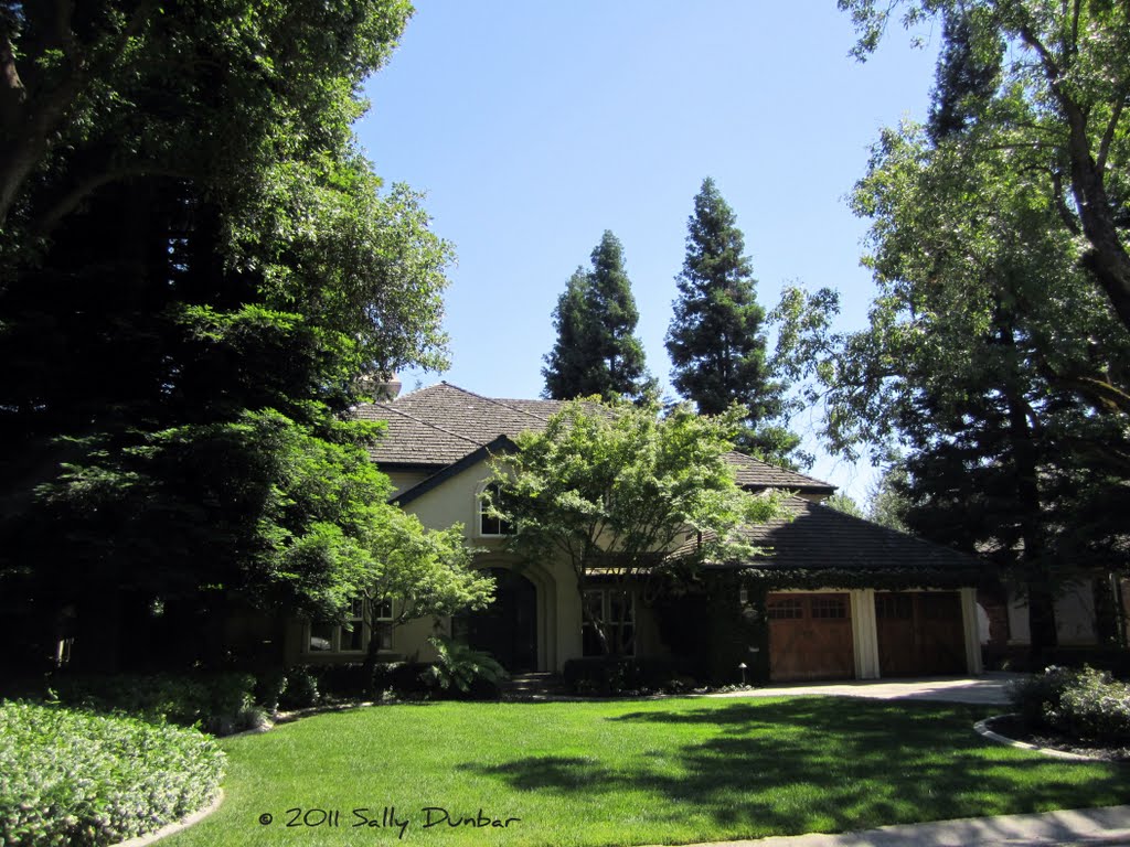 Towering redwood trees and mature landscapes create a wonderful feel in Sierra Oaks, Sacramento