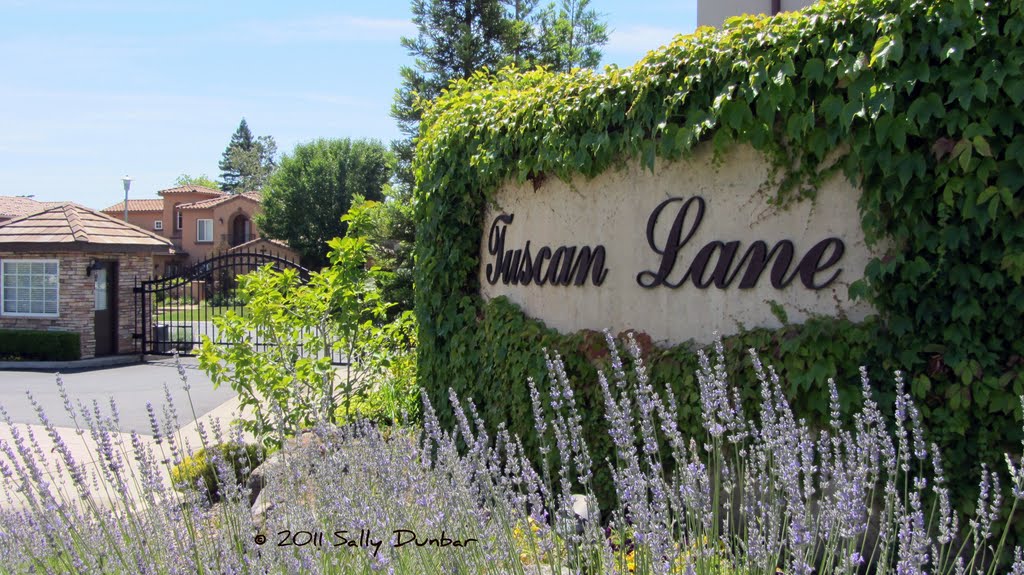 Tuscan Lane, Sacramento is a gated development of custom Tuscan styled homes.