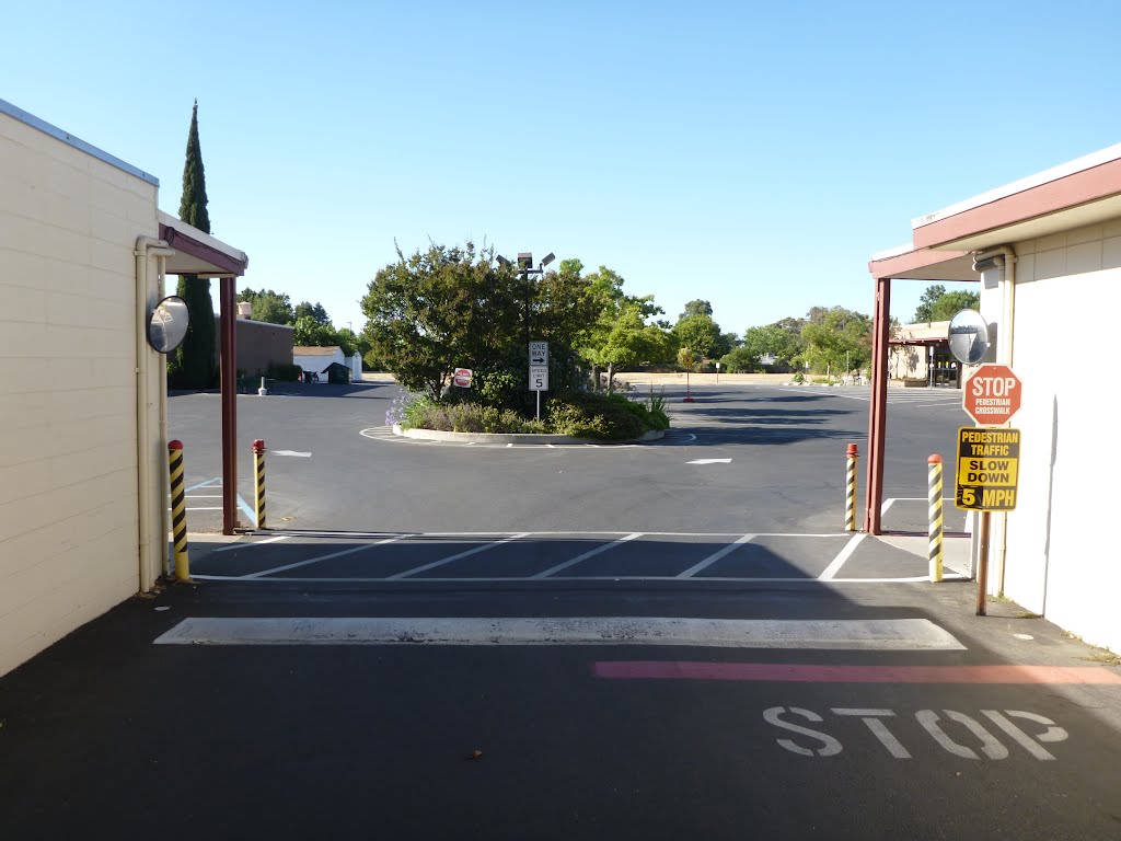 Easter Seals parking lot