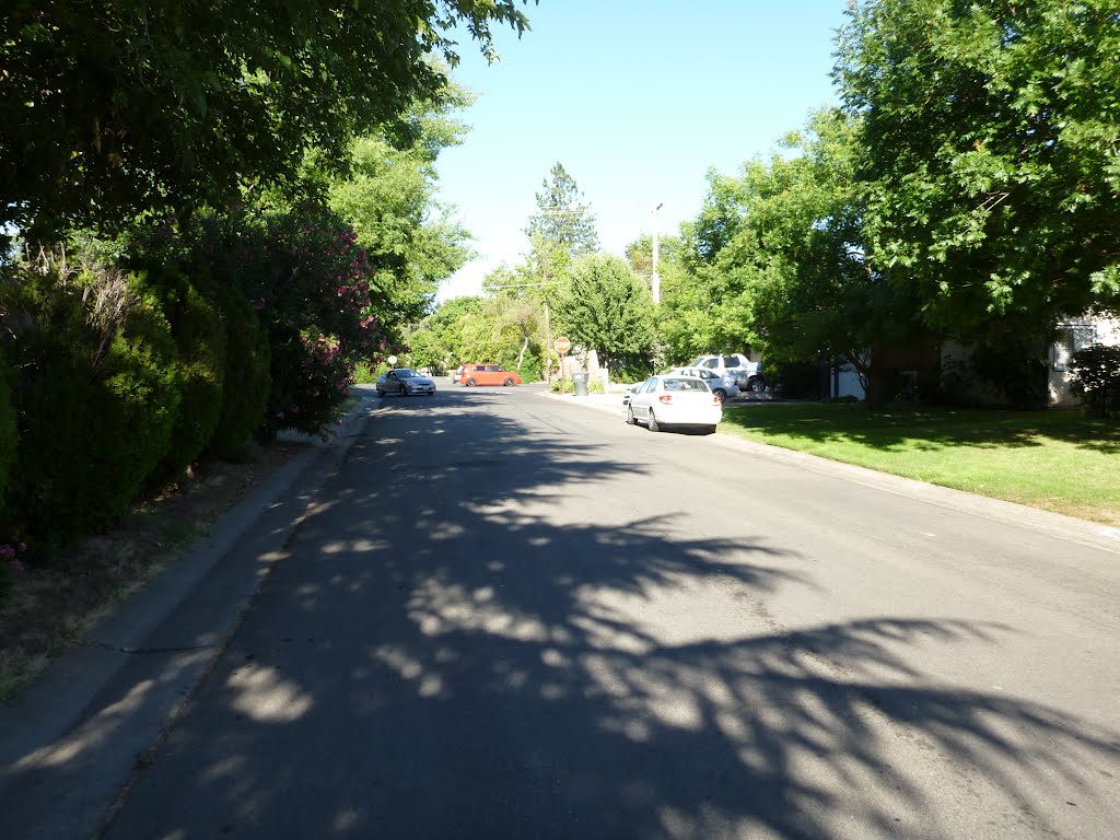 Ardenridge Dr. near Shadowglen Rd.