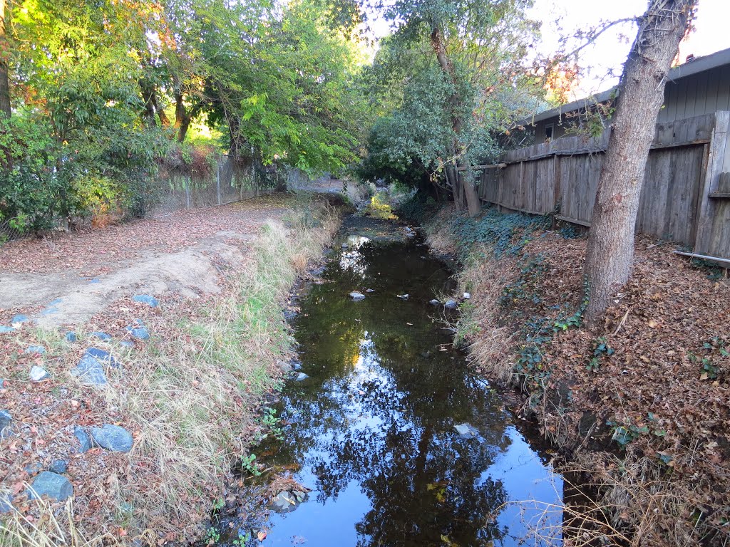 Strong Ranch Slough (looking east)