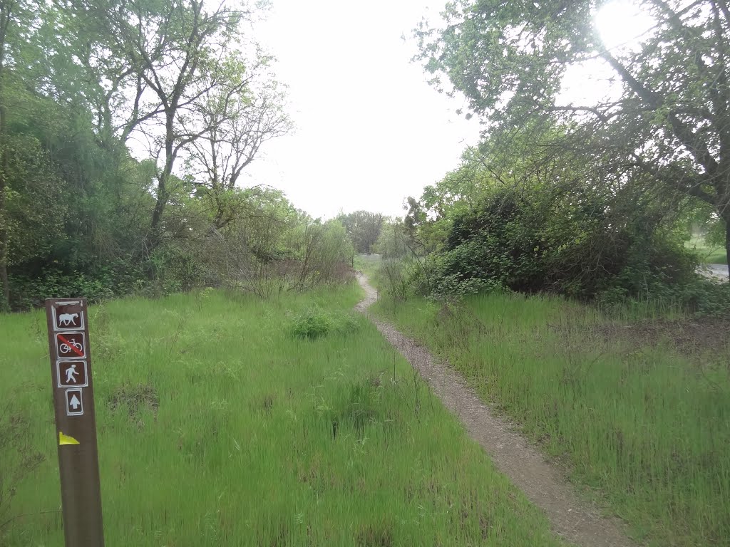 Carsonite Signpost delineating the historic Pioneer Express Trail for Horses, along the Jedediah Smith Memorial Trail, American River Parkway, Sacramento County Regional Park
