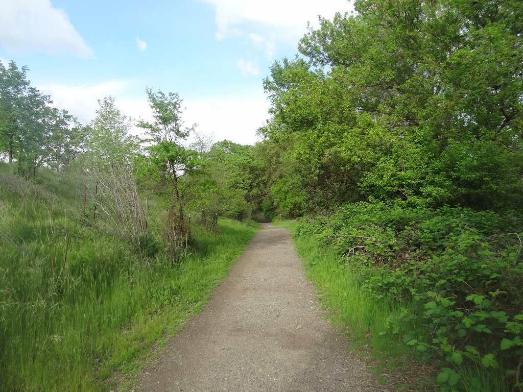 Pioneer Express Trail for Horses, along the Jedediah Smith Memorial Trail, American River Parkway, Sacramento County Regional Park