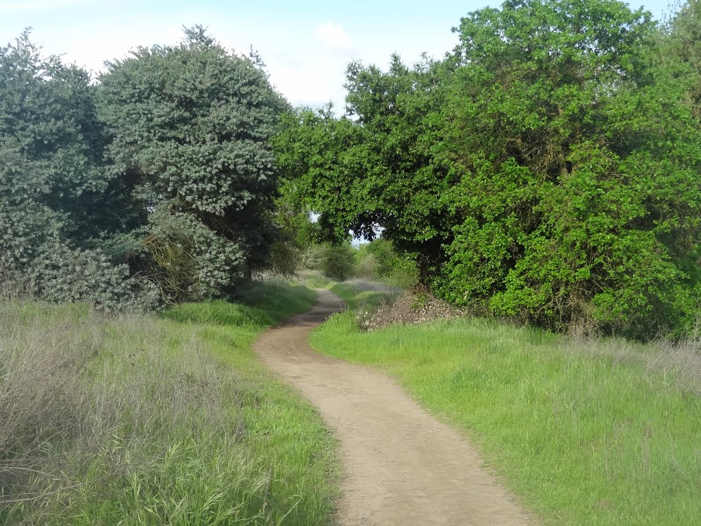 Pioneer Express Trail for Horses, along the Jedediah Smith Memorial Trail, American River Parkway, Sacramento County Regional Park