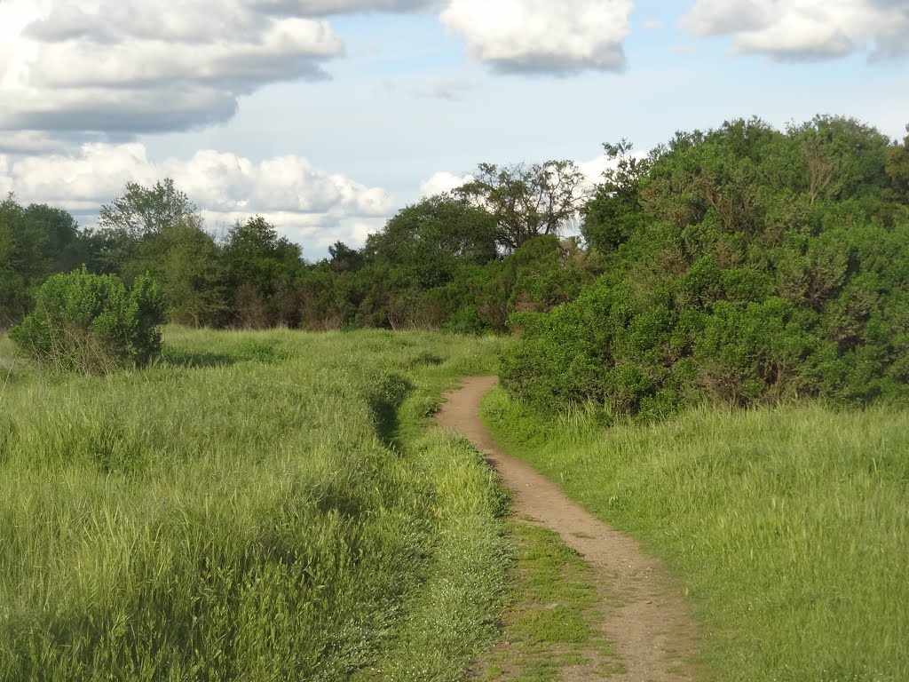 Pioneer Express Trail for Horses, along the Jedediah Smith Memorial Trail, American River Parkway, Sacramento County Regional Park