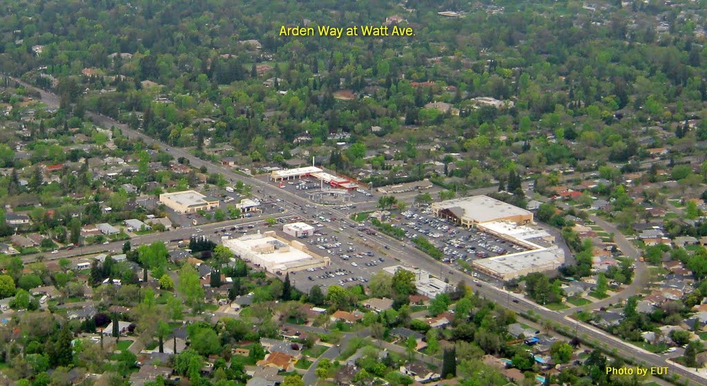 Whole Foods Market