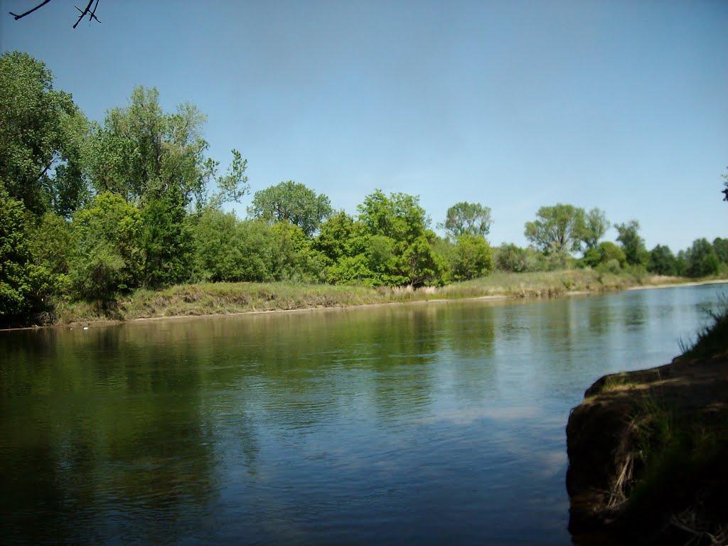 American river