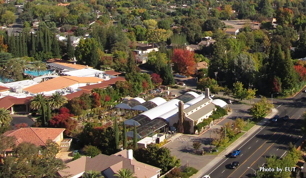 Fair Oaks Blvd. Nursery