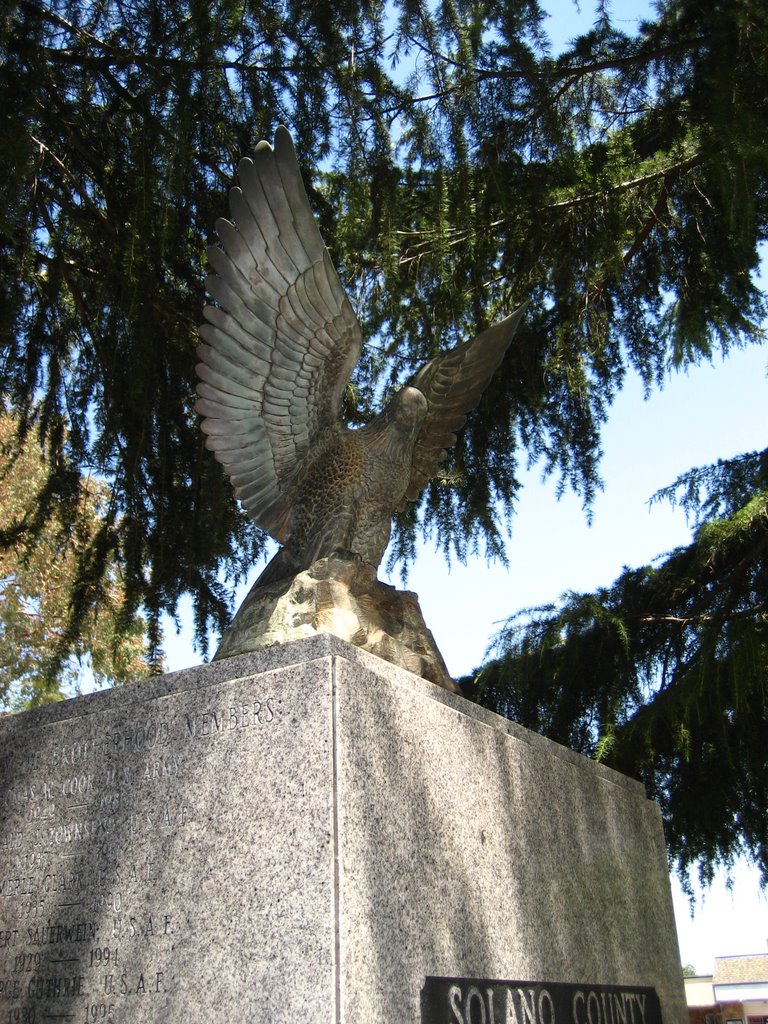 Vietnam Memorial Eagle