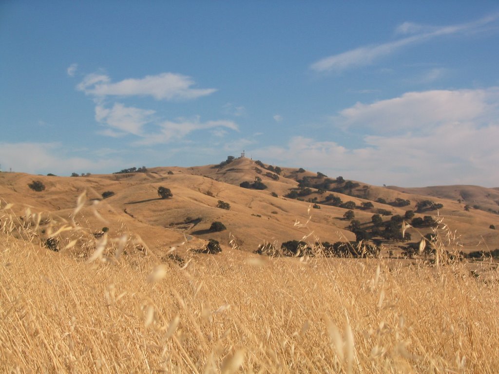 In Pena Adobe Hills