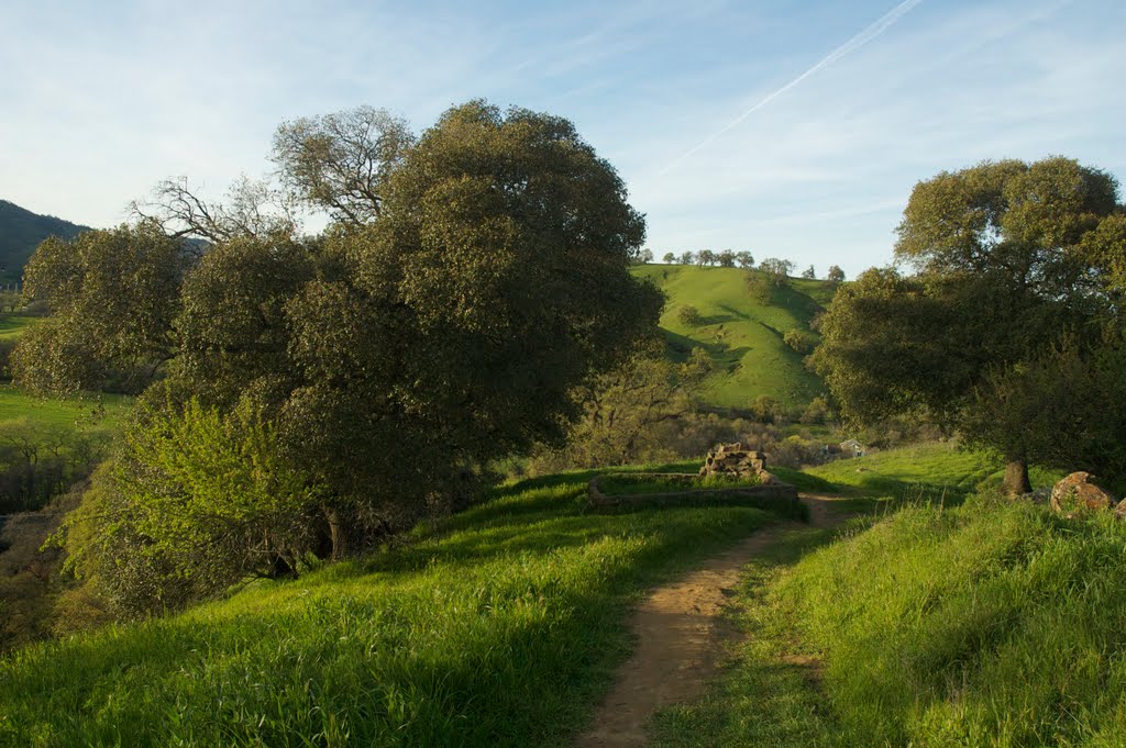 pena adobe in spring
