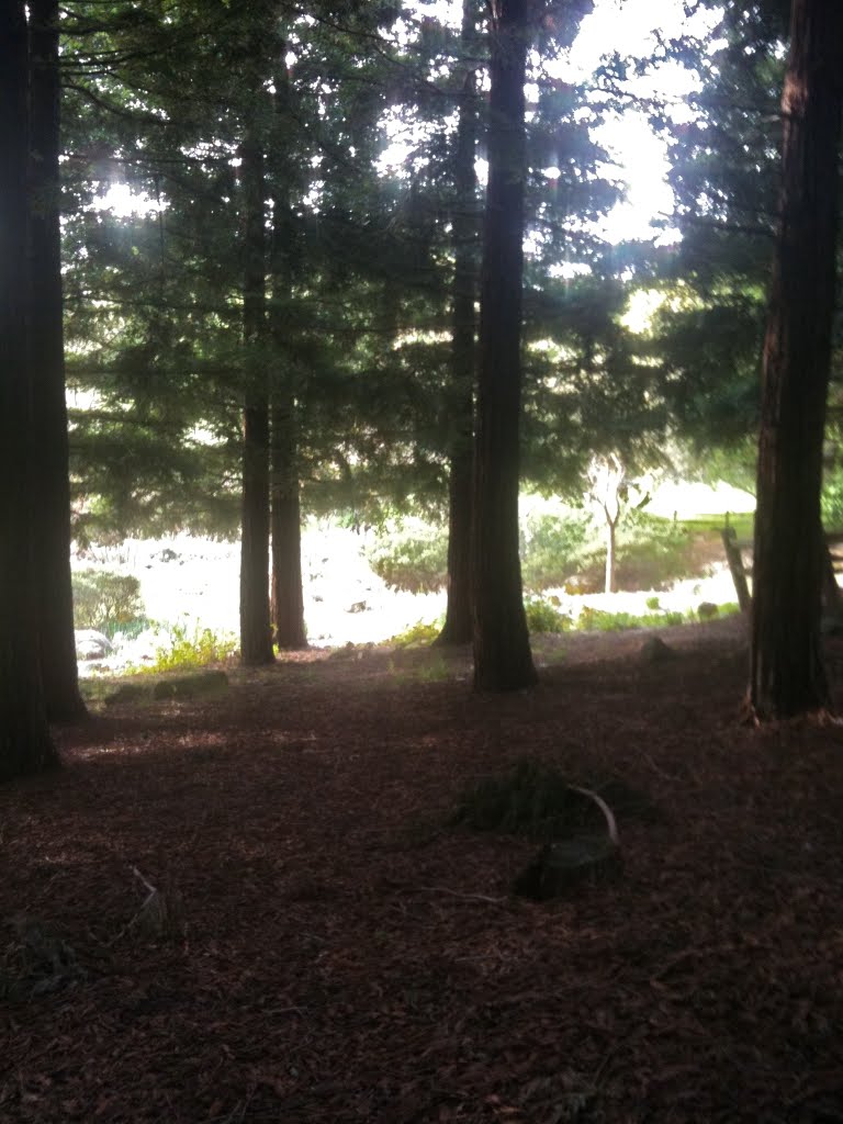 Pena Adobe Hike
