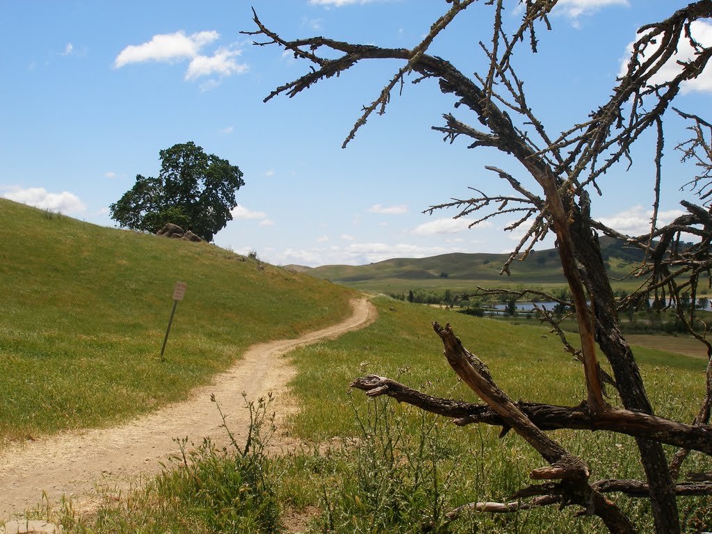 lagoon valley trail, vacaville