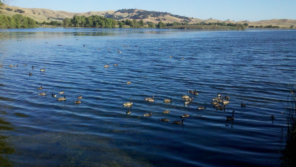 The Lagoon in The Valley