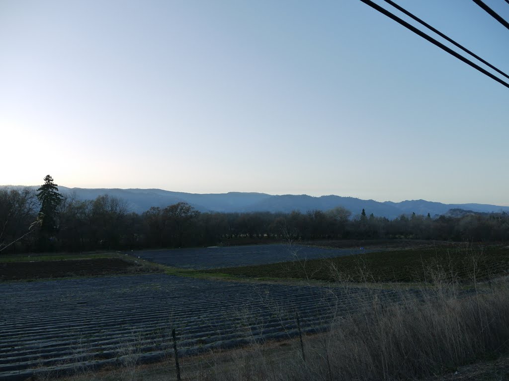 Mount Vaca from Gibson Canyon Rd.