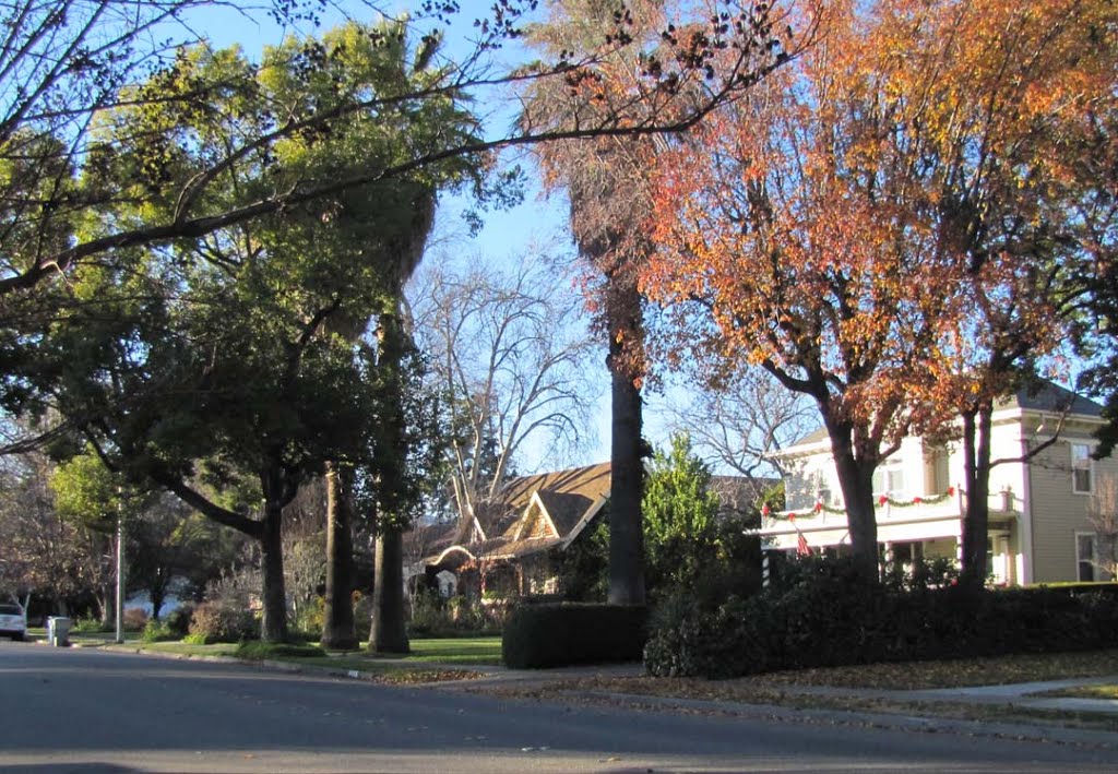 Buck Avenue, Vacaville