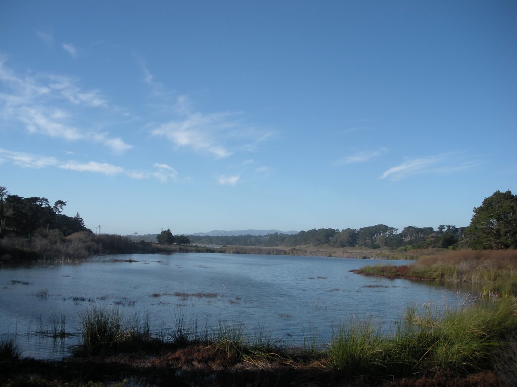 Lake Merced