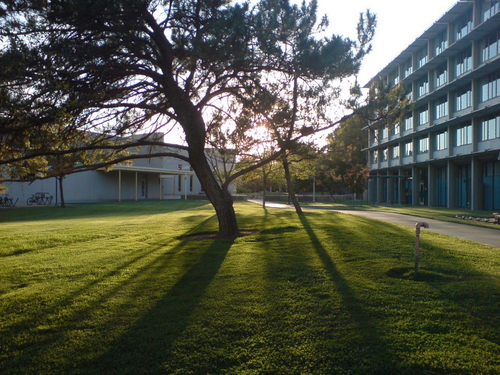 Sunset, UC Davis