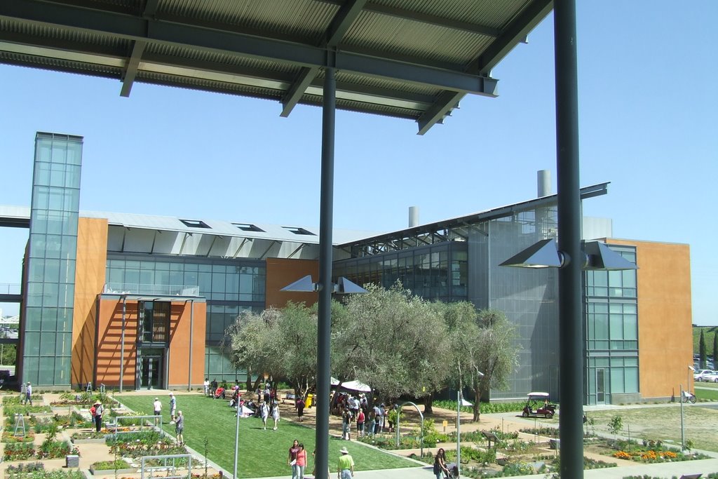 New research center, view across Courtyard