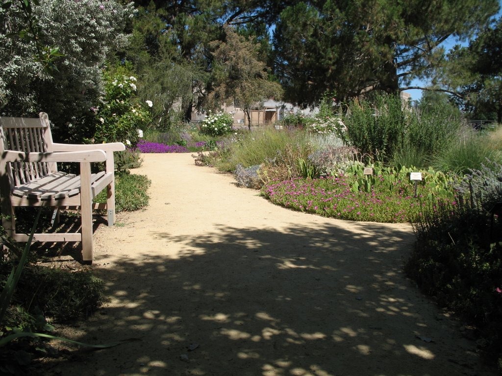 UC Davis Arboretum