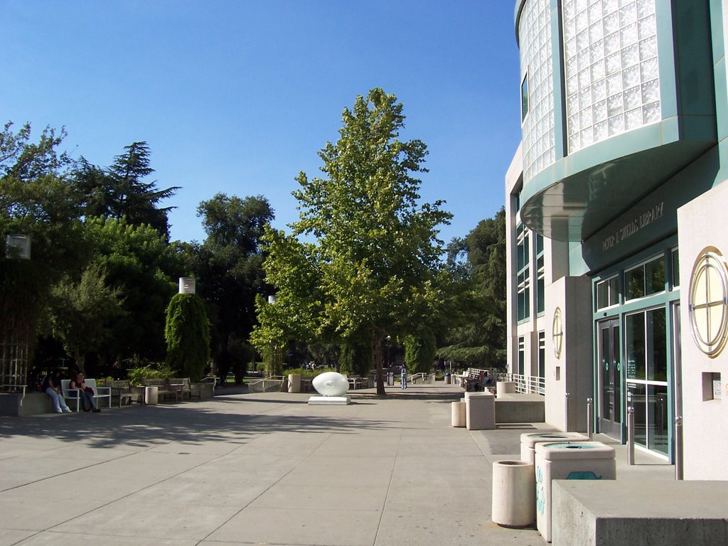 Shields Library