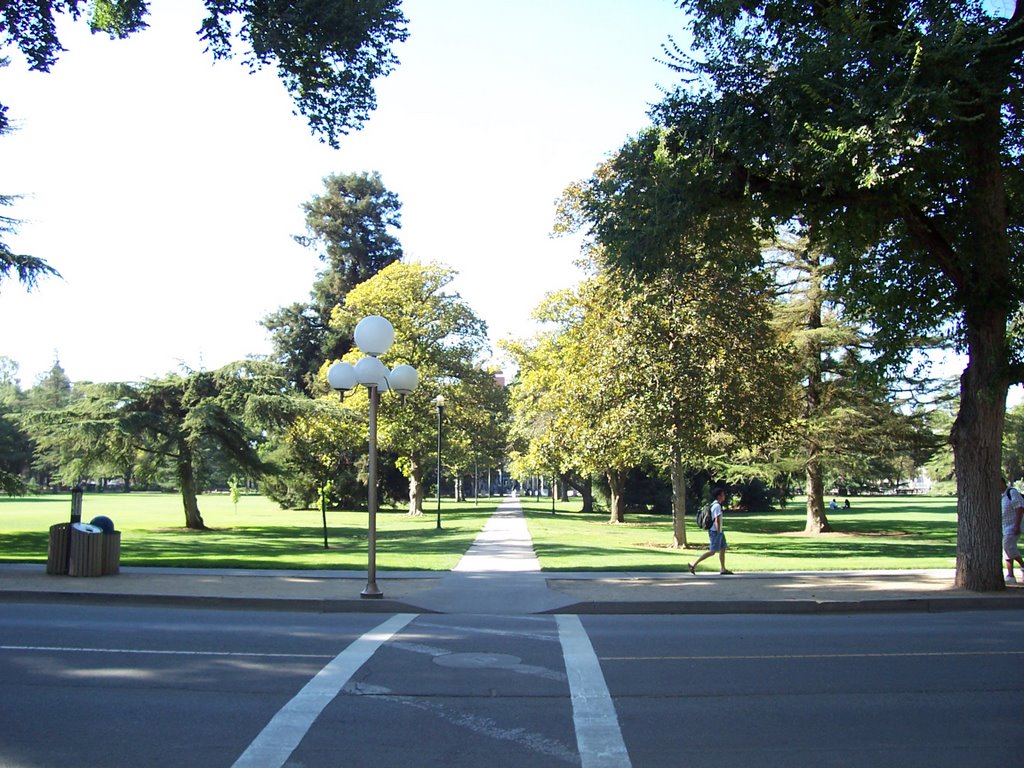 Quad