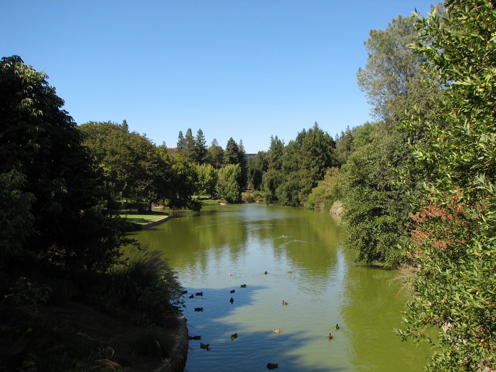 Arboretum canal looking northeast towards the park