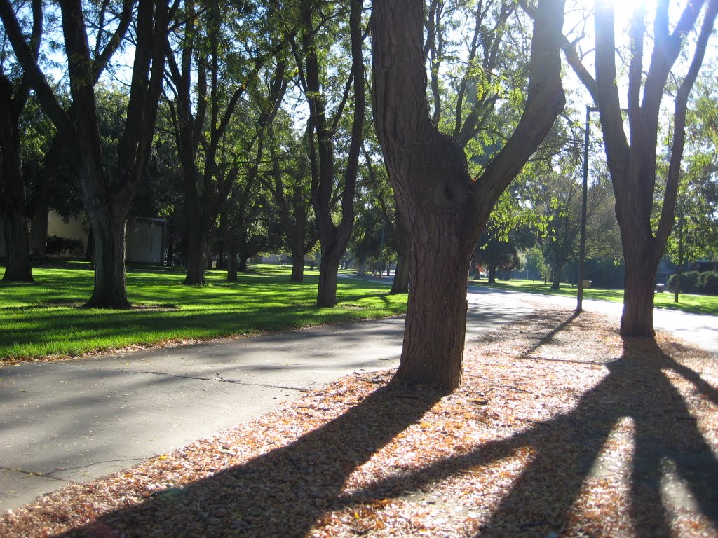 CF@UC Davis Campus