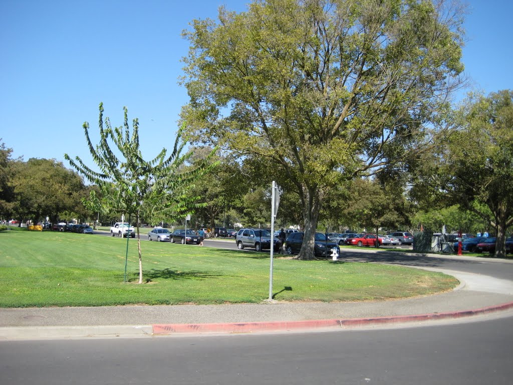 CF@UC Davis Campus