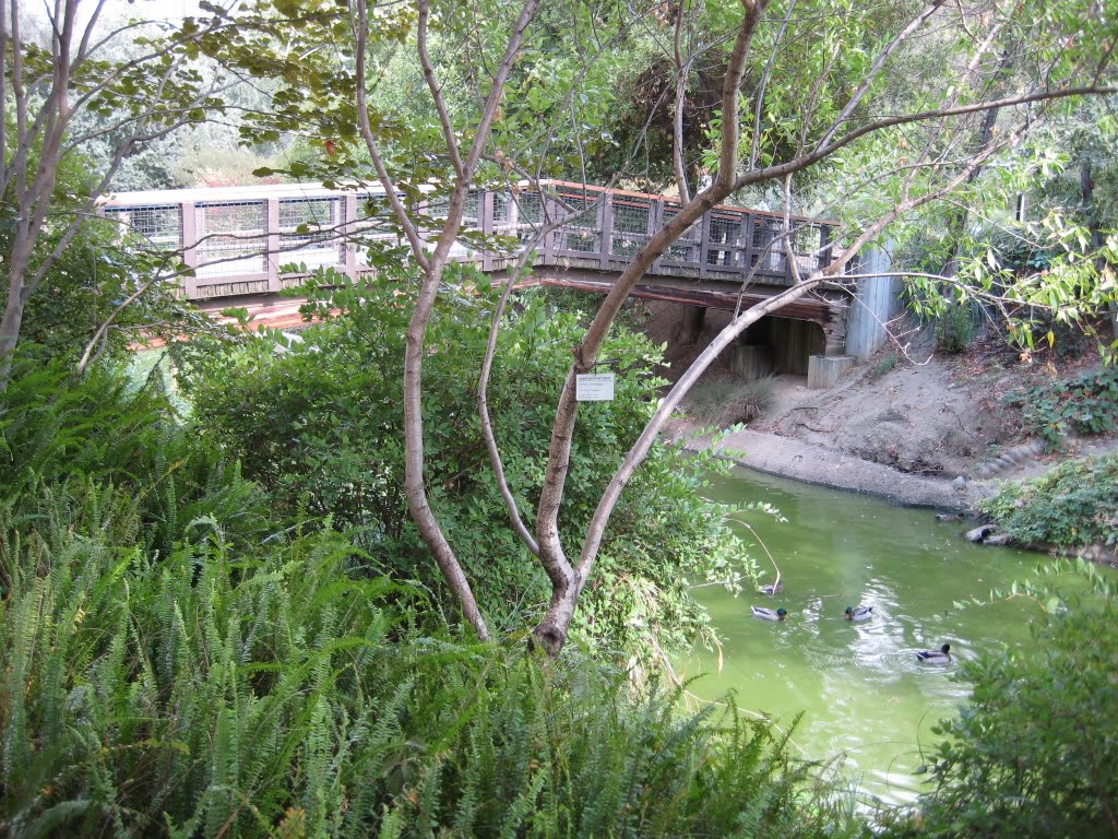 CF@UCD Arboretum Waterway