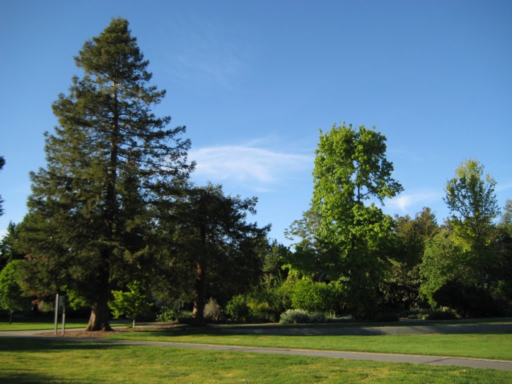 CF@UCD Arboretum