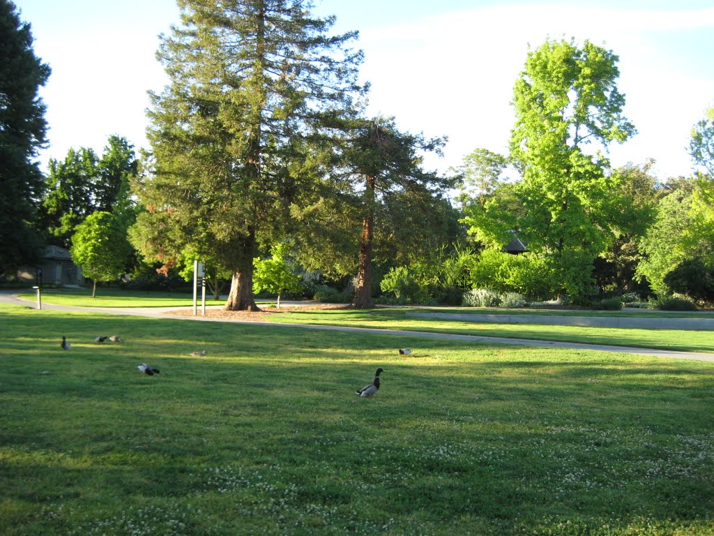 CF@UCD Arboretum