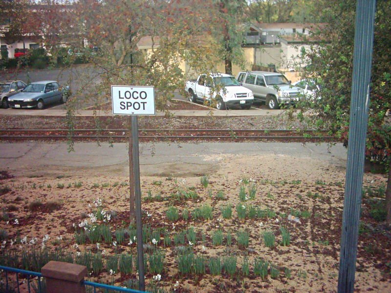 "Loco Spot" - Amtrak station in Davis, CA