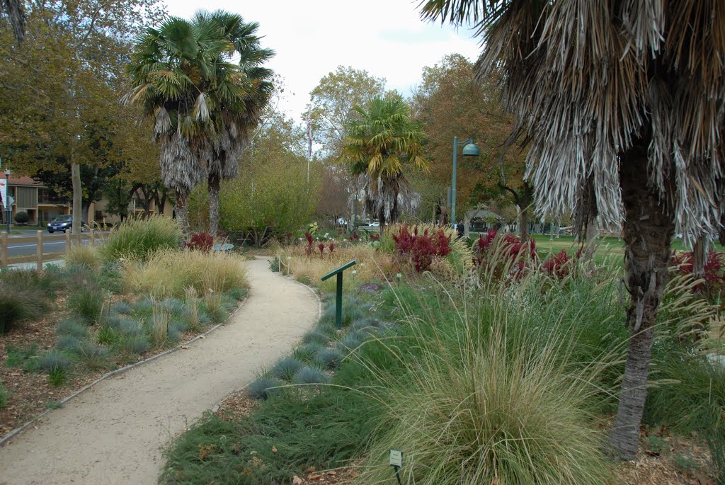 29.10.2013; Davis; California