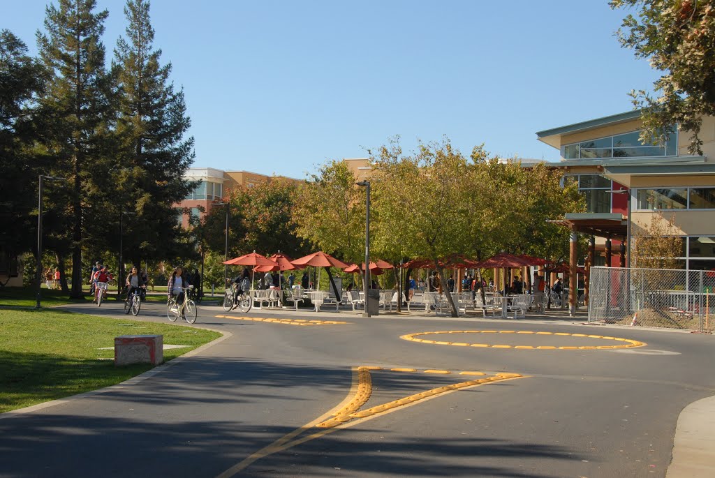 31.10.2013 Davis; Campus