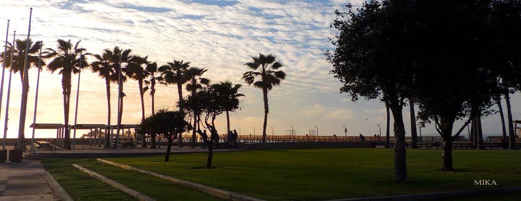 Beautiful Imperial Beach Park at the pier .... by Mika