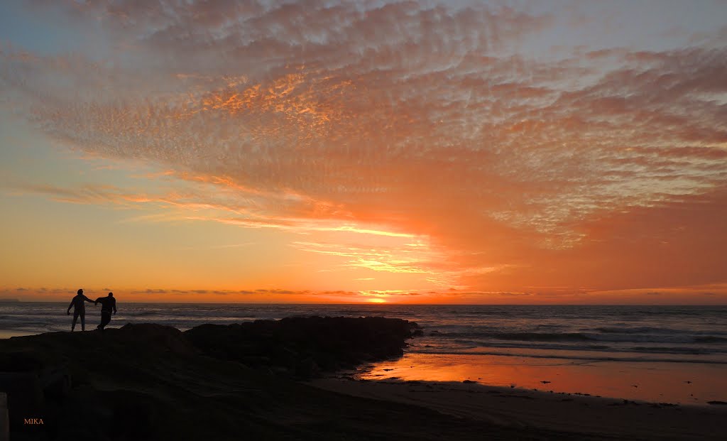 * Stunning capture! Running into the Sunset!... by Mika *****