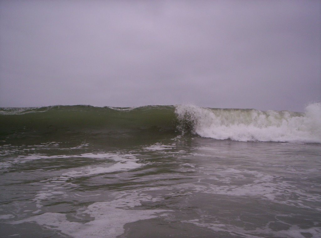 Rolling Wave at Imperial Beach