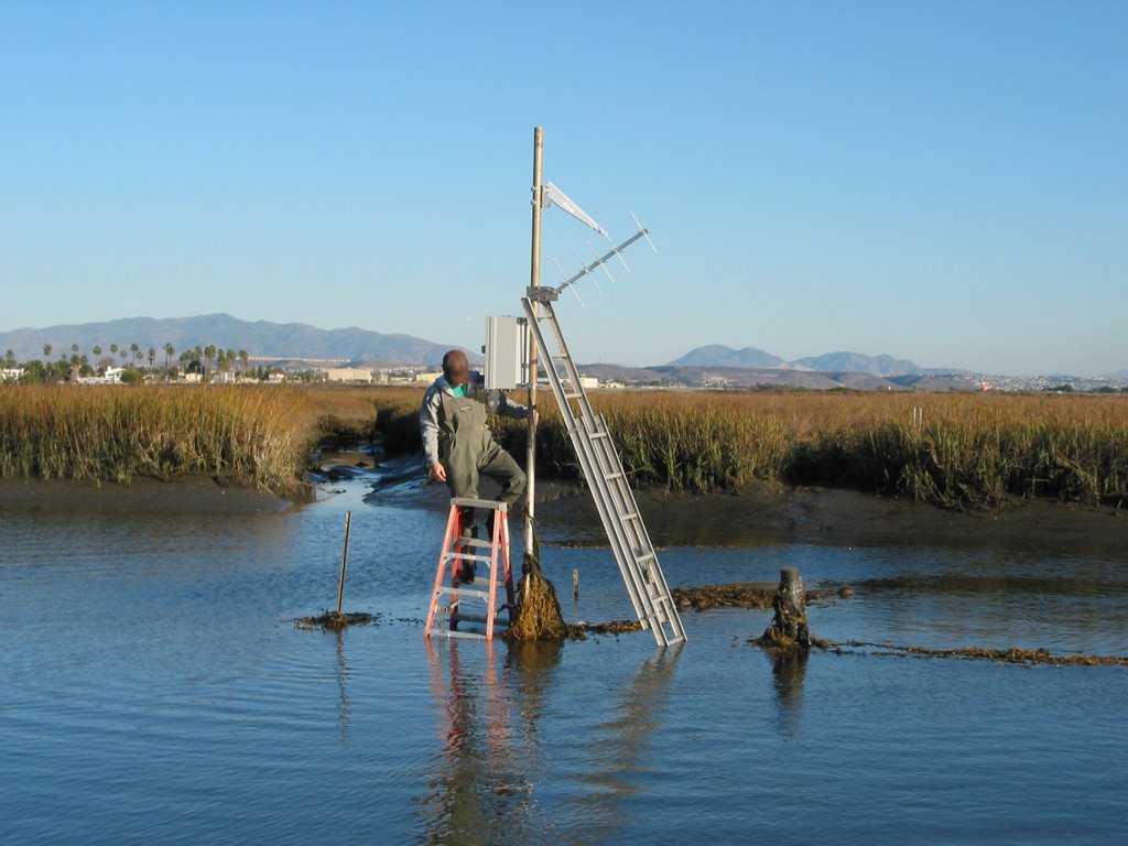 TRNERR Oneonta Slough Water Quality Station
