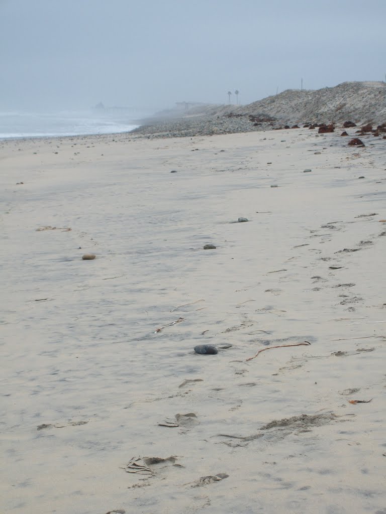 Imperial Beach, San Diego (Tijuana Sloughs)
