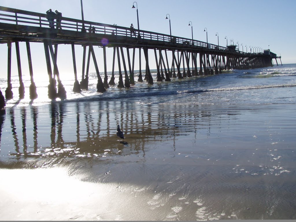 IB PIER 3/2011