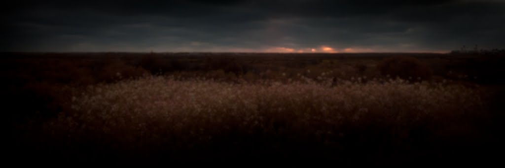 Low Light Horizon Art Series 4