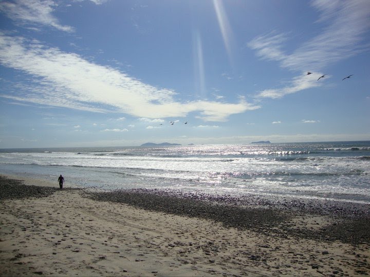 A Walk on the Beach