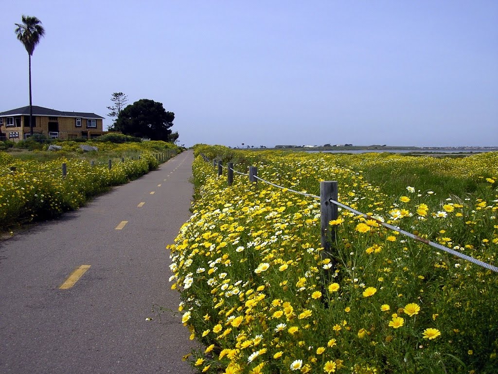 Silver Strand Bikeway
