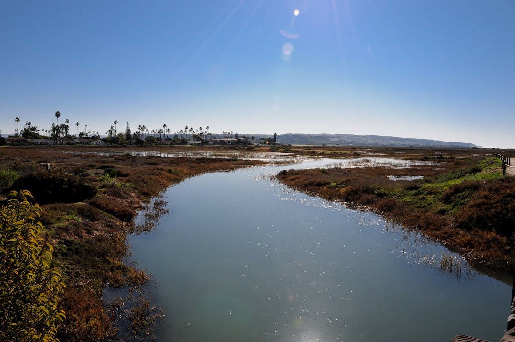 Estuary