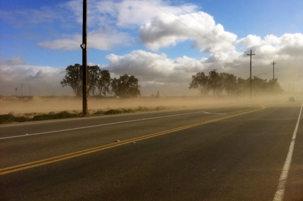 A windy day on E American Ave, 3/2012