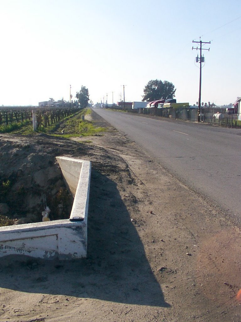 American Avenue Canal Crossing (View West)