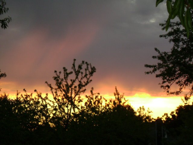 Summer Sunset Over N. Sunnyside