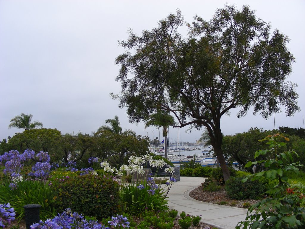 Overlooking Coronado Yacht Club from Ynez Place