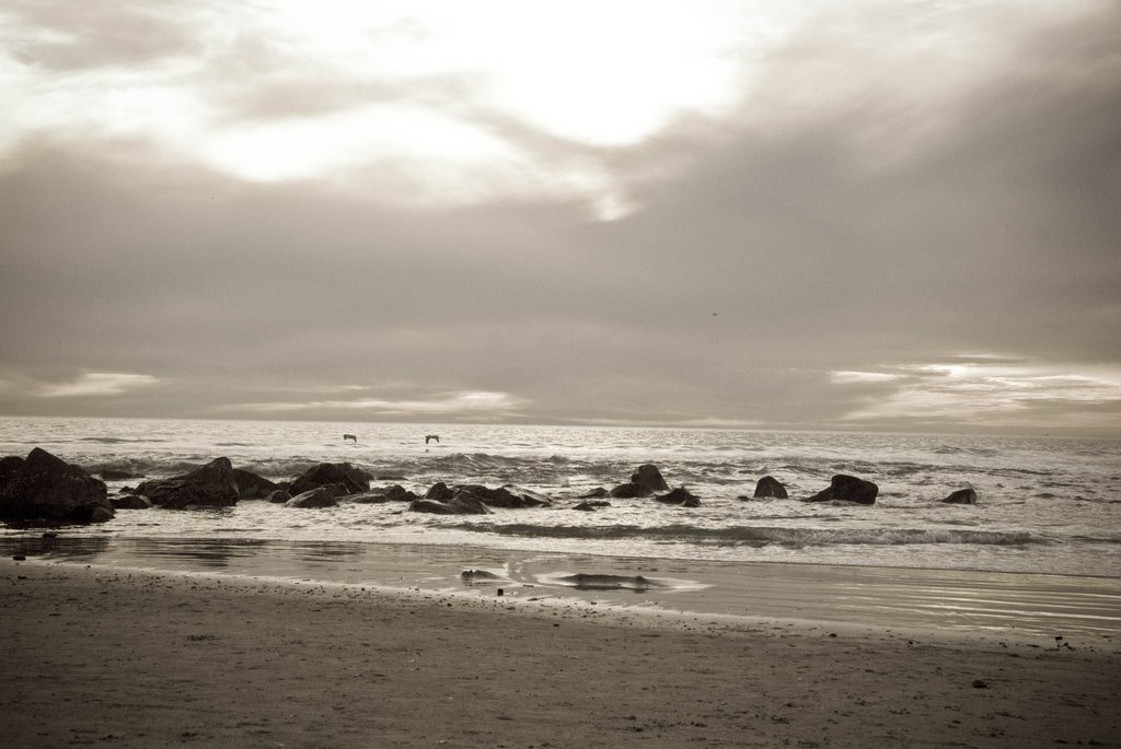 Coronado beach